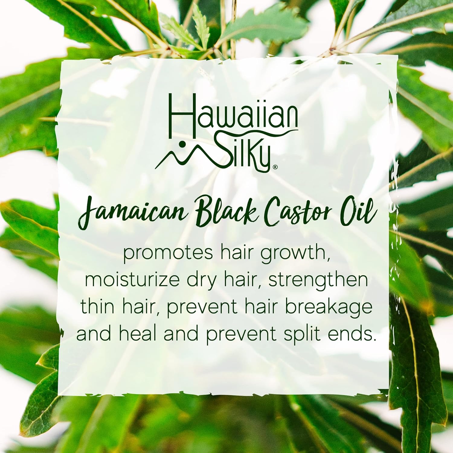 Hawaiian Silky Jamaican Black Castor Oil Collection Non Flaking Curling Gel : Beauty & Personal Care