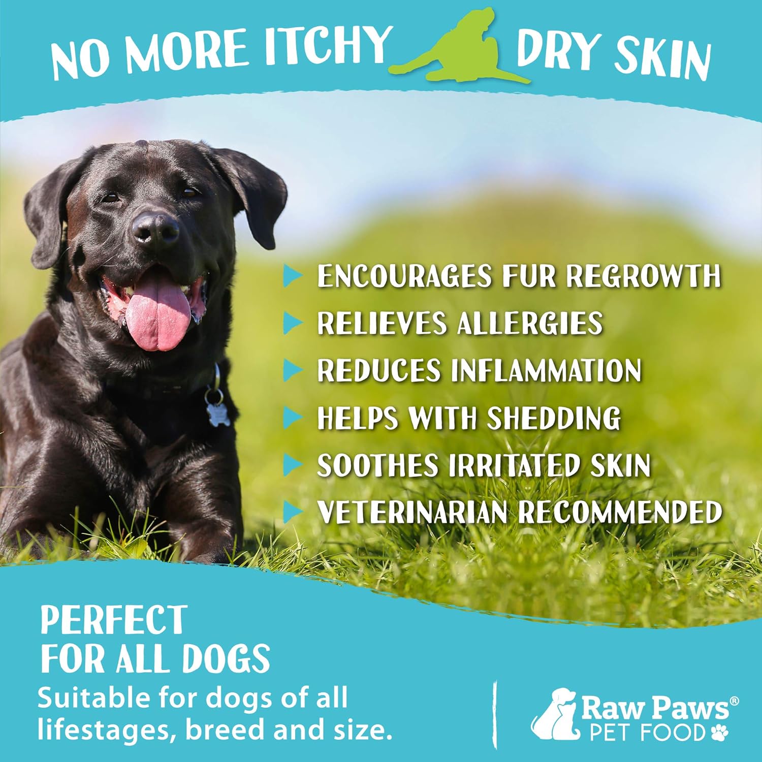 Raw Paws Skin & Coat Treats for Dogs, 10-oz/100-ct - USA Made - Coconut & Salmon Omega 3 Dog Treats, Soft Skin Chews - Dry Skin Dog Treats Support Healthy Dog Coat - Skin and Coat Supplement for Dogs : Pet Supplies