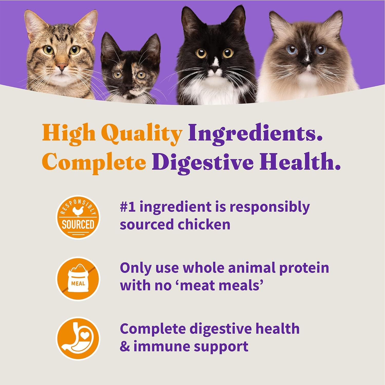 Halo Holistic Indoor Cat Food Dry, Grain Free Cage-free Chicken Recipe for healthy weight support, Complete Digestive Health, Dry Cat Food Bag, Adult Formula, 3-lb Bag : Dry Pet Food : Pet Supplies