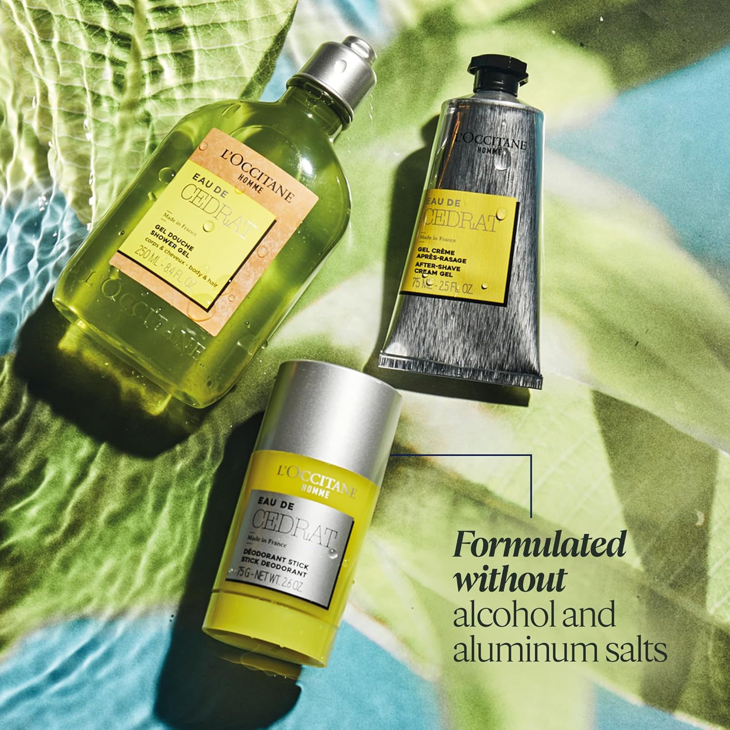 L'Occitane Eau De Cedrat Stick Deodorant 2.60 Oz : Beauty & Personal Care