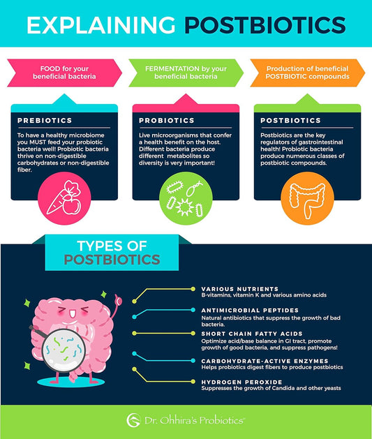 Dr. Ohhira’S Probiotics Professional Formula With 5 Year Fermented Prebiotics, Live Active Probiotics And The Only Product With Postbiotic Metabolites, 60 Capsules