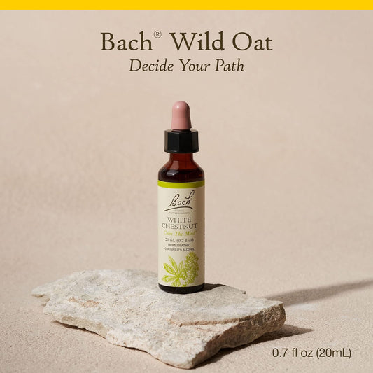 Bach Original Flower Remedies, Wild Oat for Deciding Life's Path, Natural Homeopathic Flower Essence, Holistic Wellness and Stress Relief, Vegan, 20mL Dropper