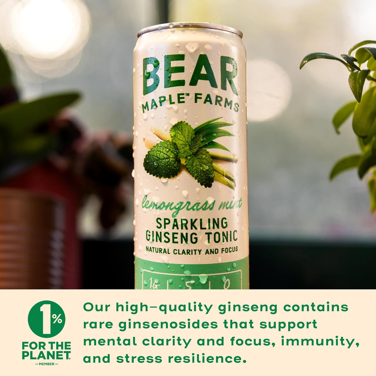 Bear Maple Farms Sparkling Ginseng Tonic, Natural Focus & Clarity From Ginseng, No Caffeine, 5-10 Calories Per Serving, Naturally Sweetened, 12Oz Can - Lemongrass Mint : Everything Else
