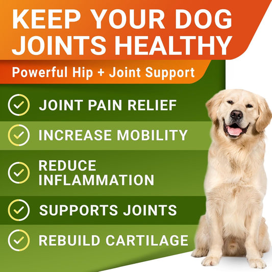 Advanced Hemp + Glucosamine Dog Joint Supplement - Hip Joint Pain Relief - Mobility Hemp Chews For Dogs - Chondroitin, Msm, Omega - Hemp Oil Treats - Made In Usa - Lamb Flavor - 120 Hemp Treats