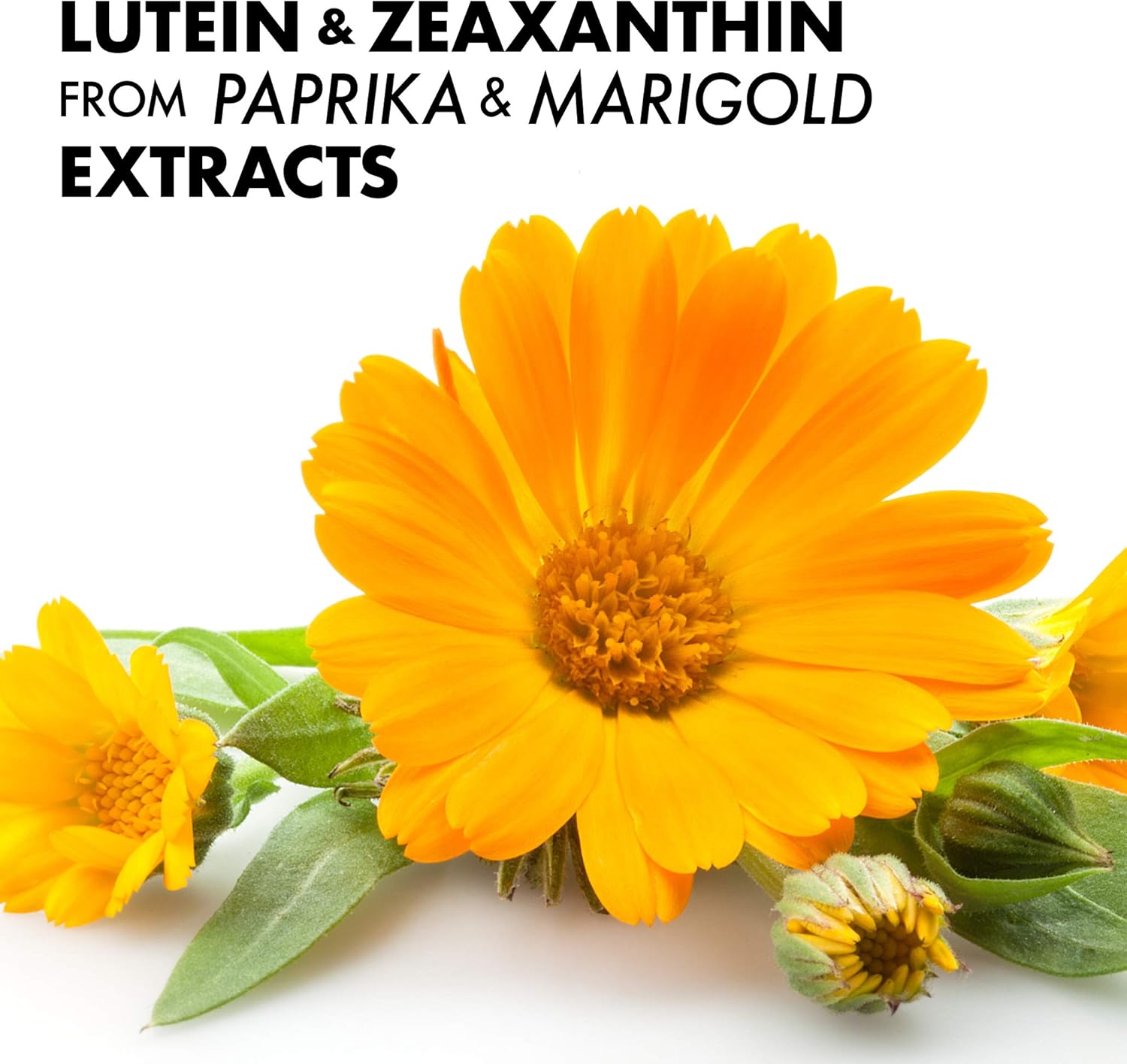 Bluebonnet Nutrition Zeaxanthin Plus Lutein Softgel & From Marigold And Paprika, Eye Health & Blue Light Exposure, Gluten, Soy & Milk Free, White, 30 Count : Health & Household