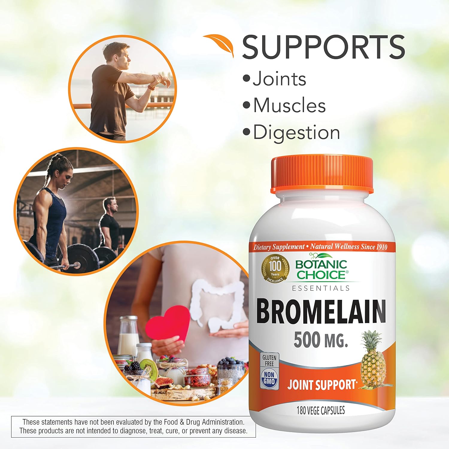 Botanic Choice Bromelain 500 Mg, 180 Capsules : Health & Household