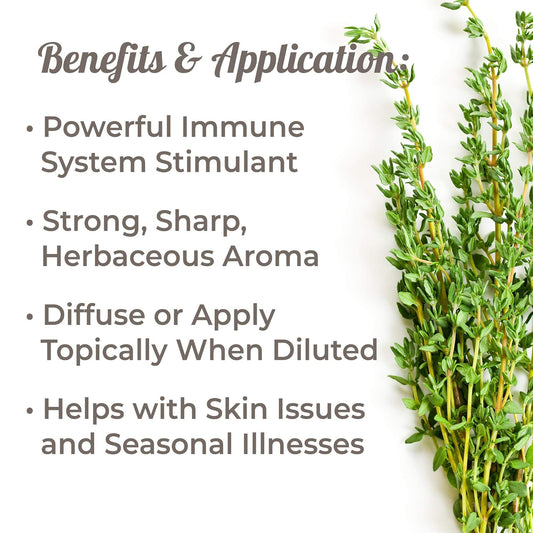 Plant Therapy Thyme Thymol Essential Oil 100% Pure, Undiluted, Natural Aromatherapy, Therapeutic Grade 30 Milliliter (1 Ounce)