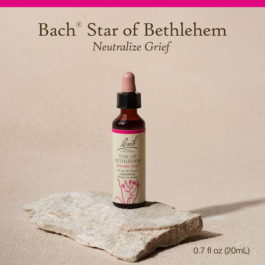 Bach Original Flower Remedies, Star of Bethlehem for Grief and Shock, Natural Homeopathic Flower Essence, Holistic Wellness, Vegan, 20mL Dropper