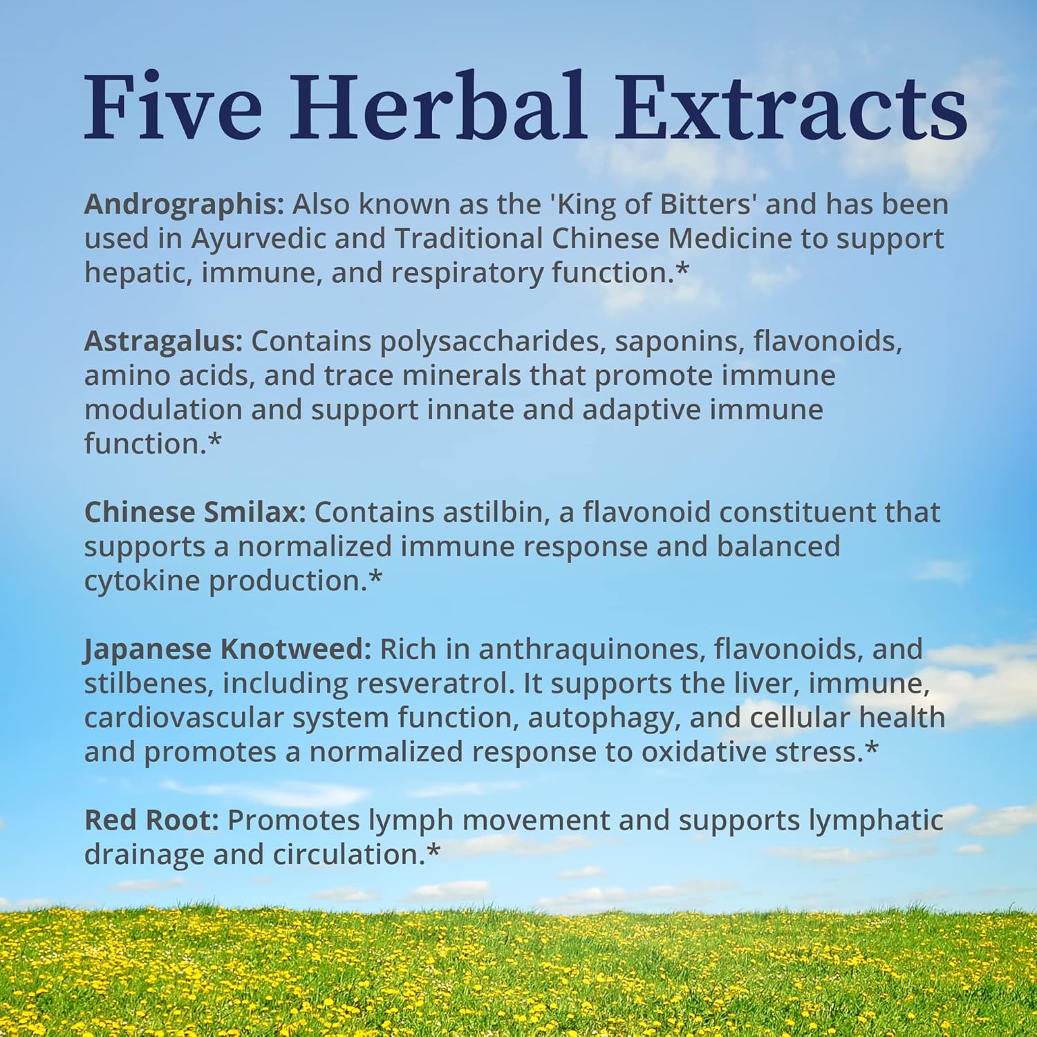 Biopure Quintessence – Botanical Tincture Of 5 Herbal Extracts, Including Astragalus & Japanese Knotweed To Support Immune, Lymphatic Circulation, Gut, Liver & Whole-Body Wellness – 4 Fl Oz : Health & Household