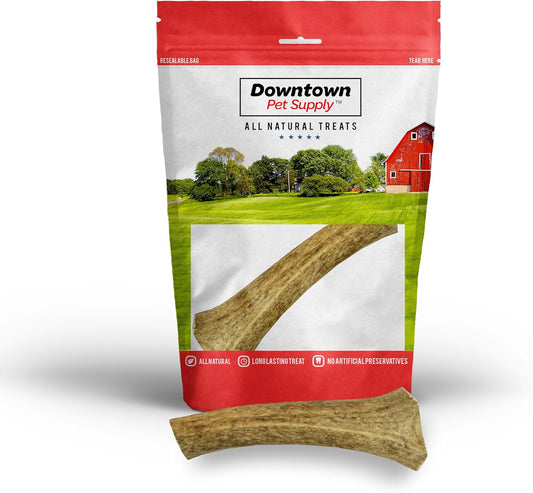 Downtown Pet Supply - Elk Antlers for Dogs - Premium Dog Bones Rich in Calcium, Phosphorus, Vitamins & Minerals - Dog Dental Treats & Natural Dog Chews - Whole - 7-10in - Jumbo