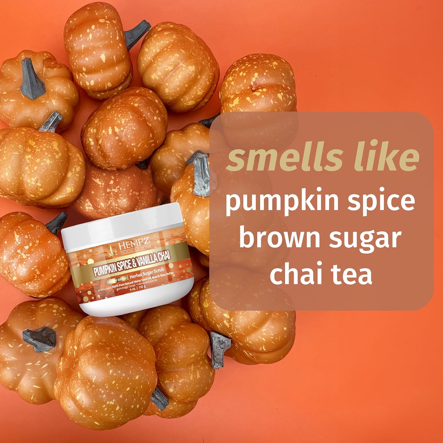 Hempz Limited Edition Pumpkin Spice & Vanilla Chai Herbal Lip Balm .44 oz : Beauty & Personal Care