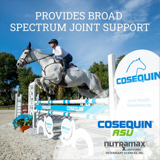 Nutramax Cosequin Asu Joint Health Supplement For Horses - Powder With Glucosamine, Chondroitin, Asu, And Msm, 1320 Grams