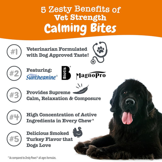 Zesty Paws Calming Chews For Dogs - Calming Dog Treats With Melatonin For Dogs Composure & Relaxation - Dog Calming Chews For Separation Stress & Nervousness - Vet Strength, Smoked Turkey - 90Ct