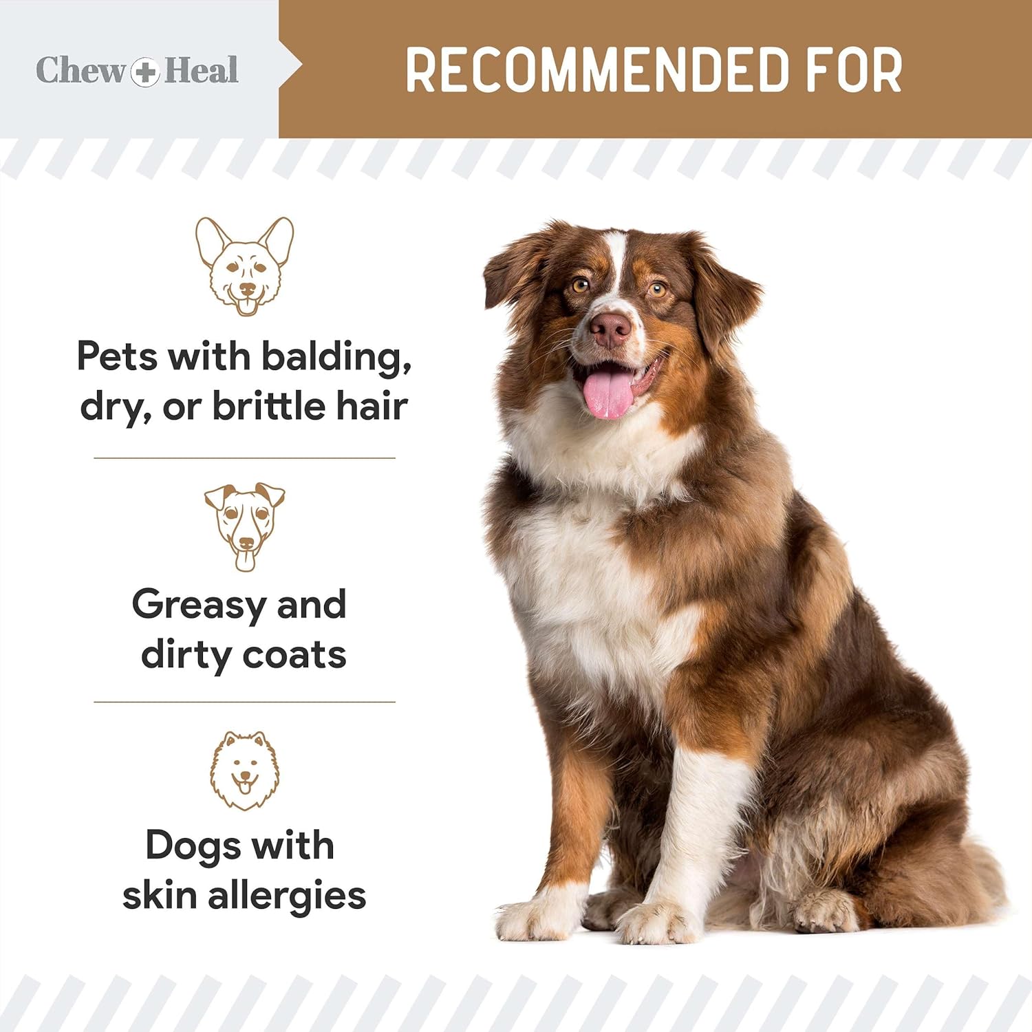 Omega for Dogs - 180 Delicious Soft Chews - Salmon Oil Treats for Skin and Coat, Itch Relief - Fish Oil Blend of Essential Fatty Acids, Omega 3, 6, and 9, and Vitamins - Peanut Butter Flavor : Pet Supplies