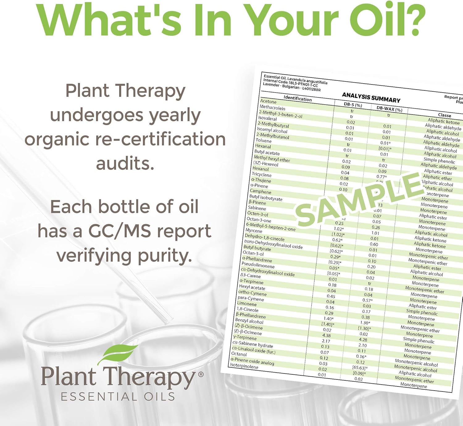 Plant Therapy Organic Juniper Berry Essential Oil 100% Pure, Undiluted, Natural Aromatherapy, Therapeutic Grade 10 mL (1/3 oz) : Health & Household