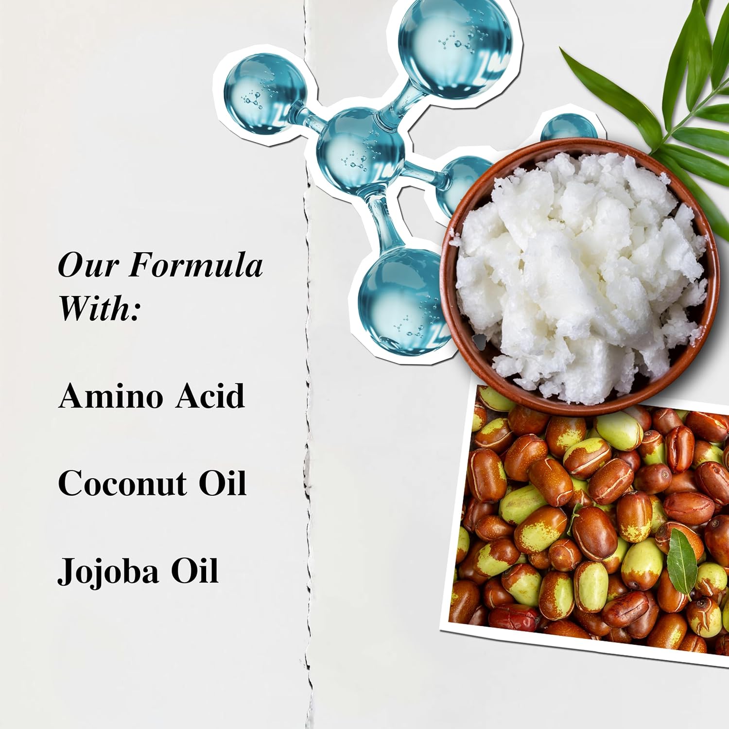 Kiehl'S Amino Acid Conditioner, Strengthening And Moisturizing Hair Treatment, With Amino Acids, Jojoba And Coconut Oil To Improve Manageability And Added Shine - 16.9 Fl Oz : Beauty & Personal Care