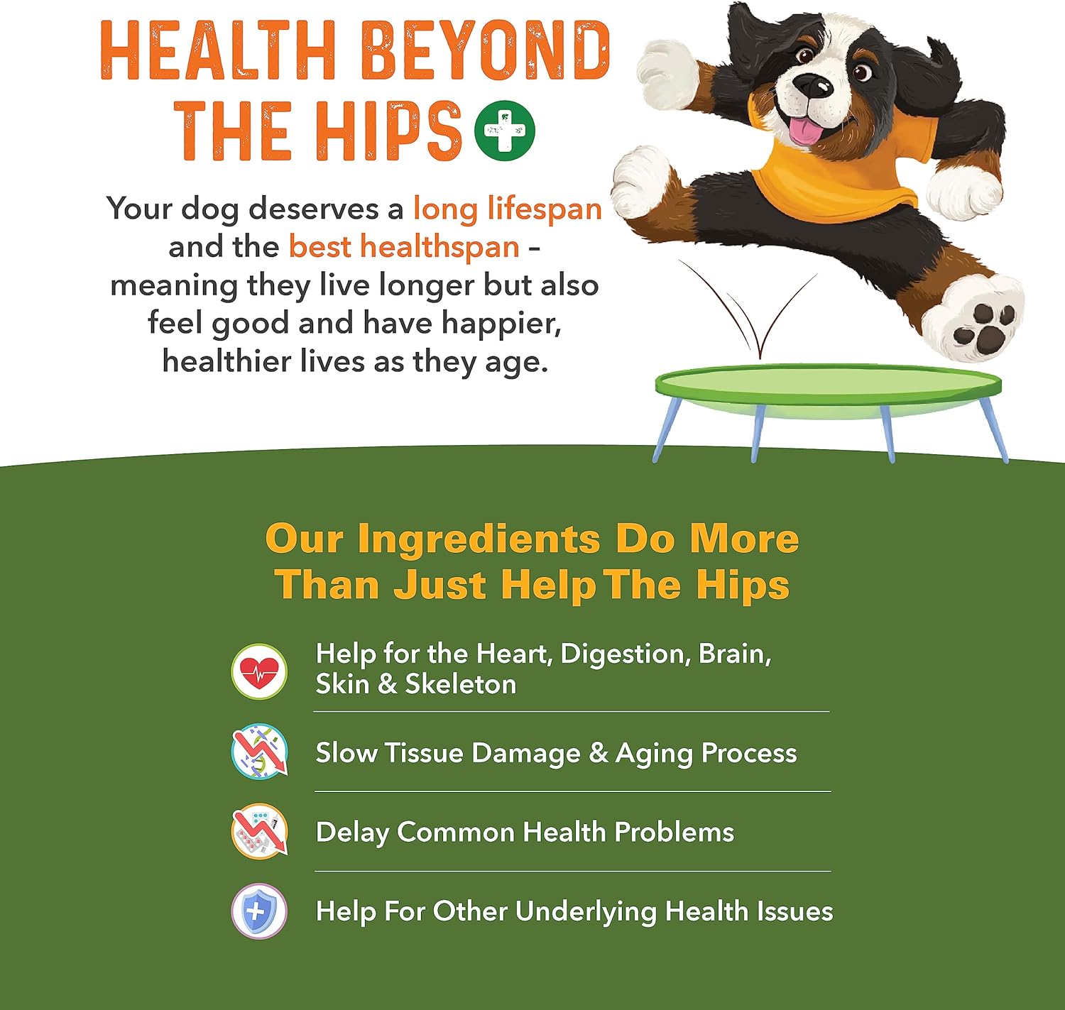 Bernie's Healthy HIPS - Daily Dog Hip and Joint Supplement - 90 Soft Chews - Reduce Pain, Encourage Mobility, Slow Damage, Repair and Rebuild HIPS and Joint Tissues : Pet Supplies