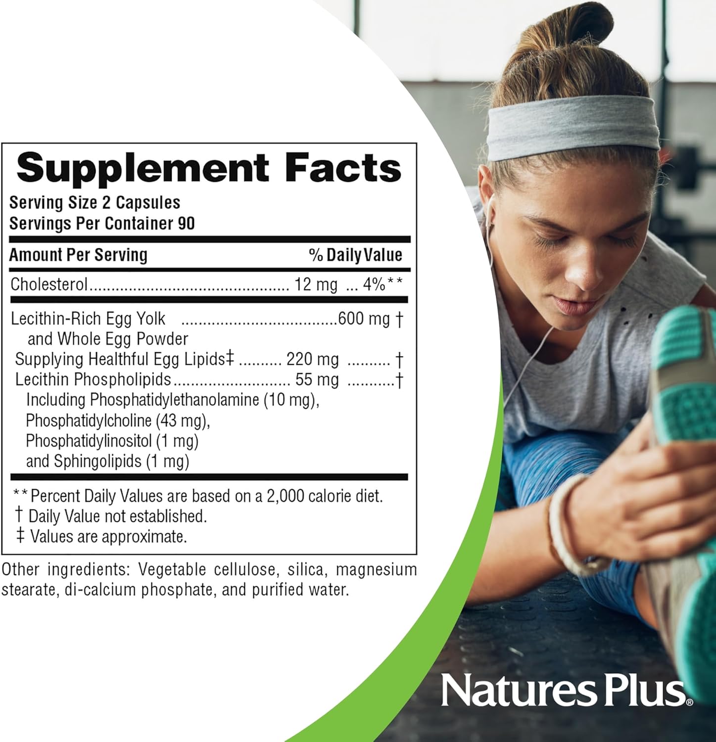 Natures Plus Egg Yolk Lecithin - 600 Mg, 90 Vegetarian Capsules - Pack Of 2 - Supports Body'S Natural Defenses & Optimal Liver Function - Soy Free, Gluten Free - 90 Servings
