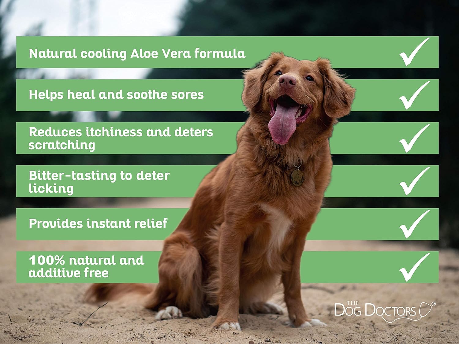 The Dog Doctors Aloe Vera Hot Spot Foam Helps Heals and Soothes Sores Whilst Providing Itchy Irritated Skin With Relief. :Pet Supplies