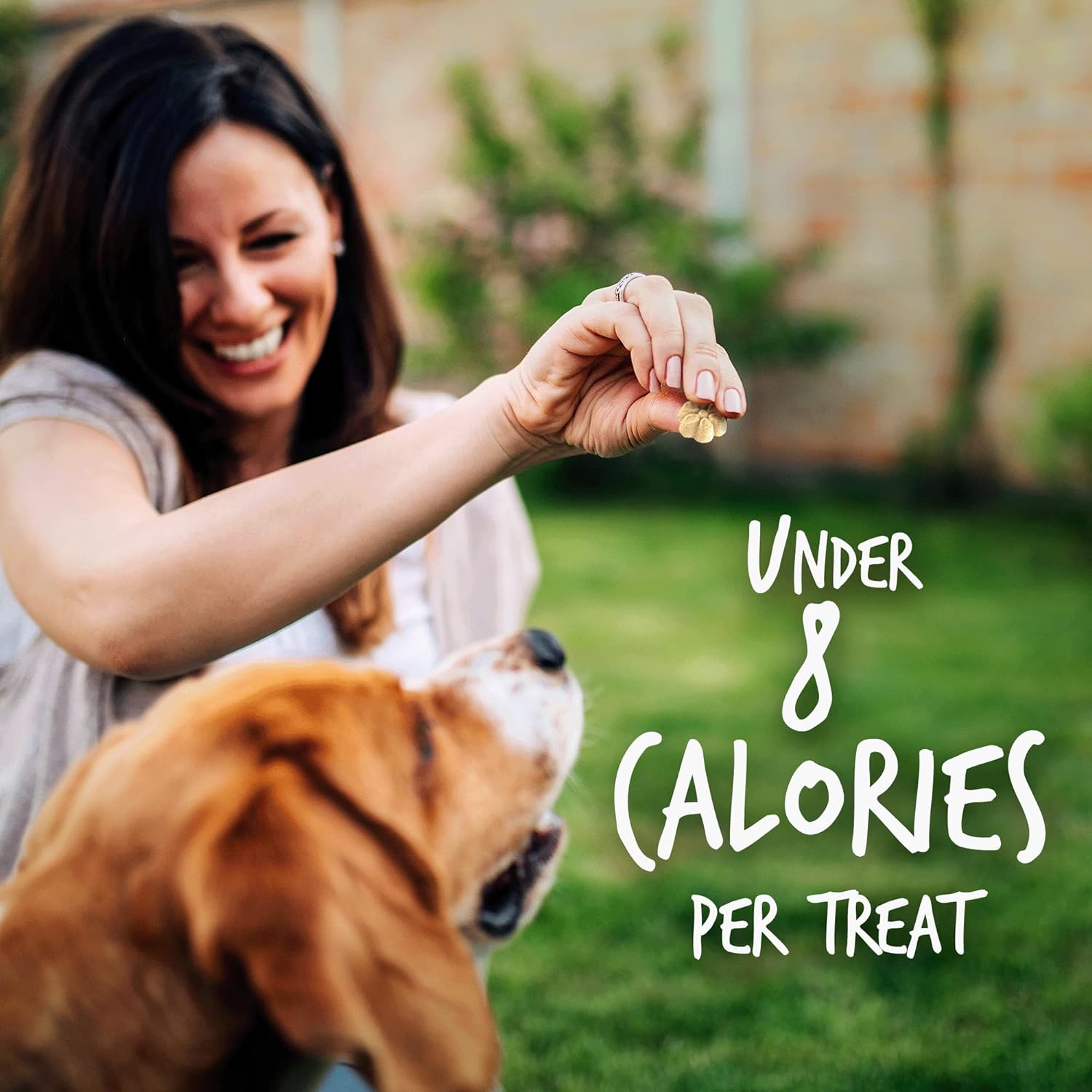 Fruitables Greek Yogurt Dog Treats – Healthy Dog Treats – Yogurt Treats for Dogs – Coconut Flavor – 7 Ounces : Pet Supplies