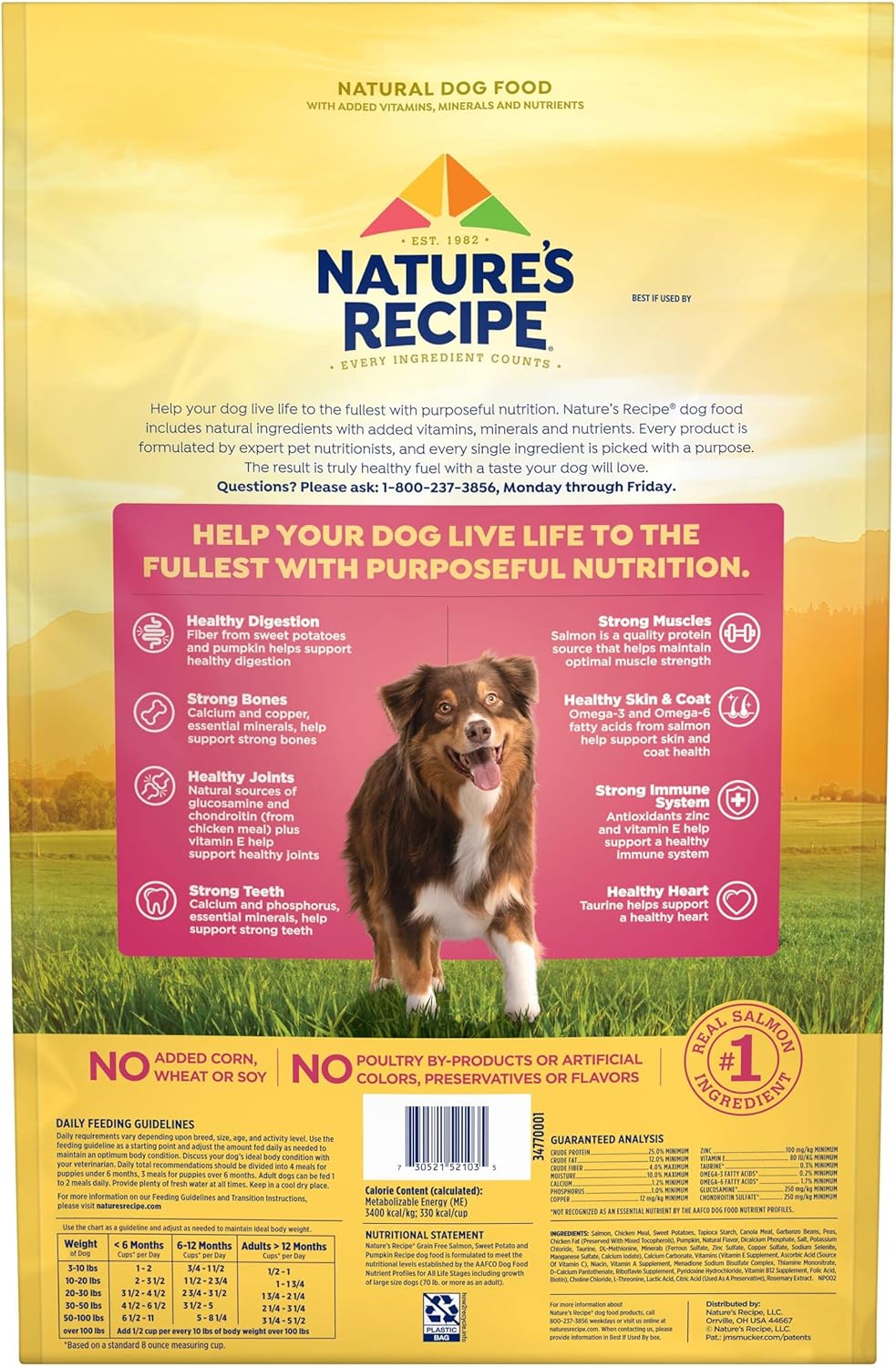 Nature’s Recipe Grain Free Salmon, Sweet Potato & Pumpkin Recipe Dry Dog Food, 12 lb. Bag : Pet Supplies