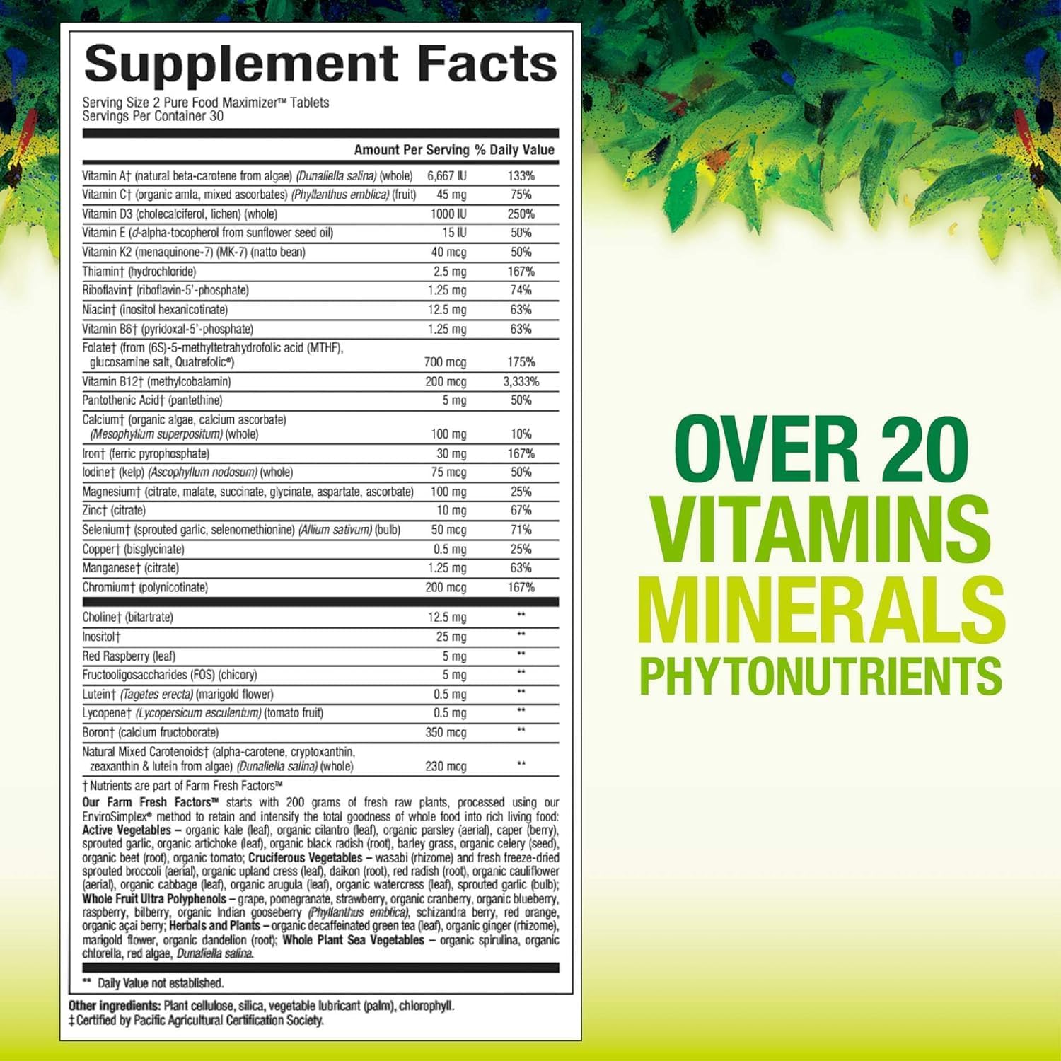 Iron Gummies With Multivitamin, Iron Supplement For Women & Men With Zinc, Vitamin B Complex & C, B12, Folate - Blood Builder & Energy Support For Adults & Kids - Strawberry Flavor, Vegan 60 Gummies
