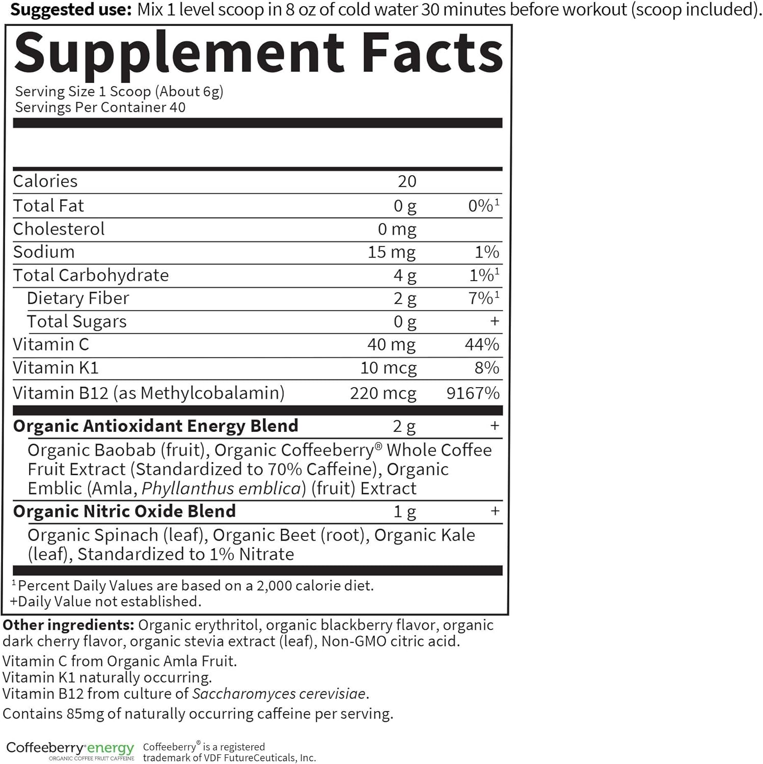 Garden Of Life Sport Organic Plant-Based Energy + Focus Vegan Clean Pre Workout Powder, Sugar & Gluten Free Blackberry Cherry With 85Mg Caffeine, Natural No Booster, B12, 40 Servings, 8.14 Oz : Health & Household
