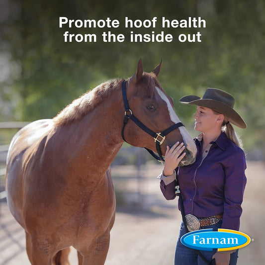 Farnam Horseshoer'S Secret Pelleted Hoof Supplements, Promotes Healthy Hoof Growth, Maintains Hoof Walls & Supports Cracked Hooves, 11 Lbs., 30 Day Supply