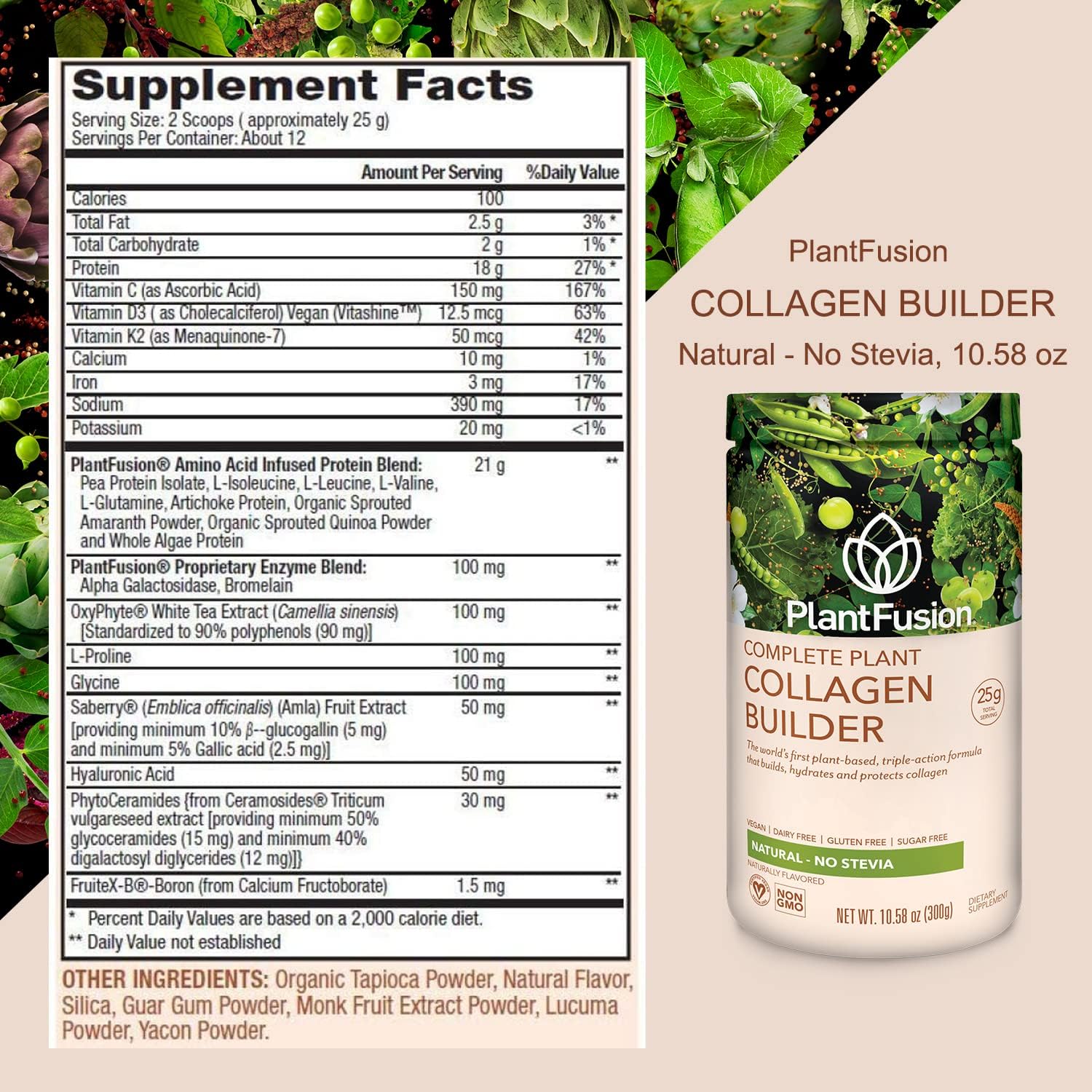 PlantFusion Complete Vegan Protein Powder and Collagen Bundle - Keto, Gluten Free, Soy Free, Non-Dairy, No Sugar, Non-GMO : Health & Household