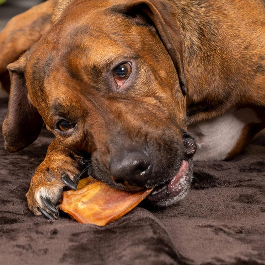 Pet Factory Real Chewz Premium Pig Ears Dog Chew Treats, 100% All-Natural - 18 Count/1 Pack