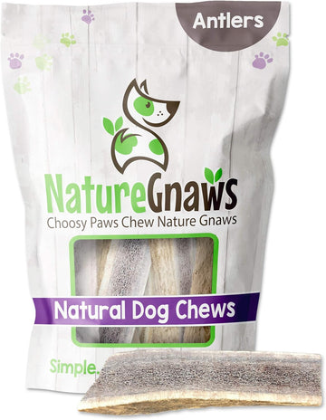 Nature Gnaws Usa Elk Antlers For Dogs 5-8" (3 Count) - Mix Of Split And Whole Pieces - Long Lasting For Aggressive Chewers - Natural Dog Chew Bones