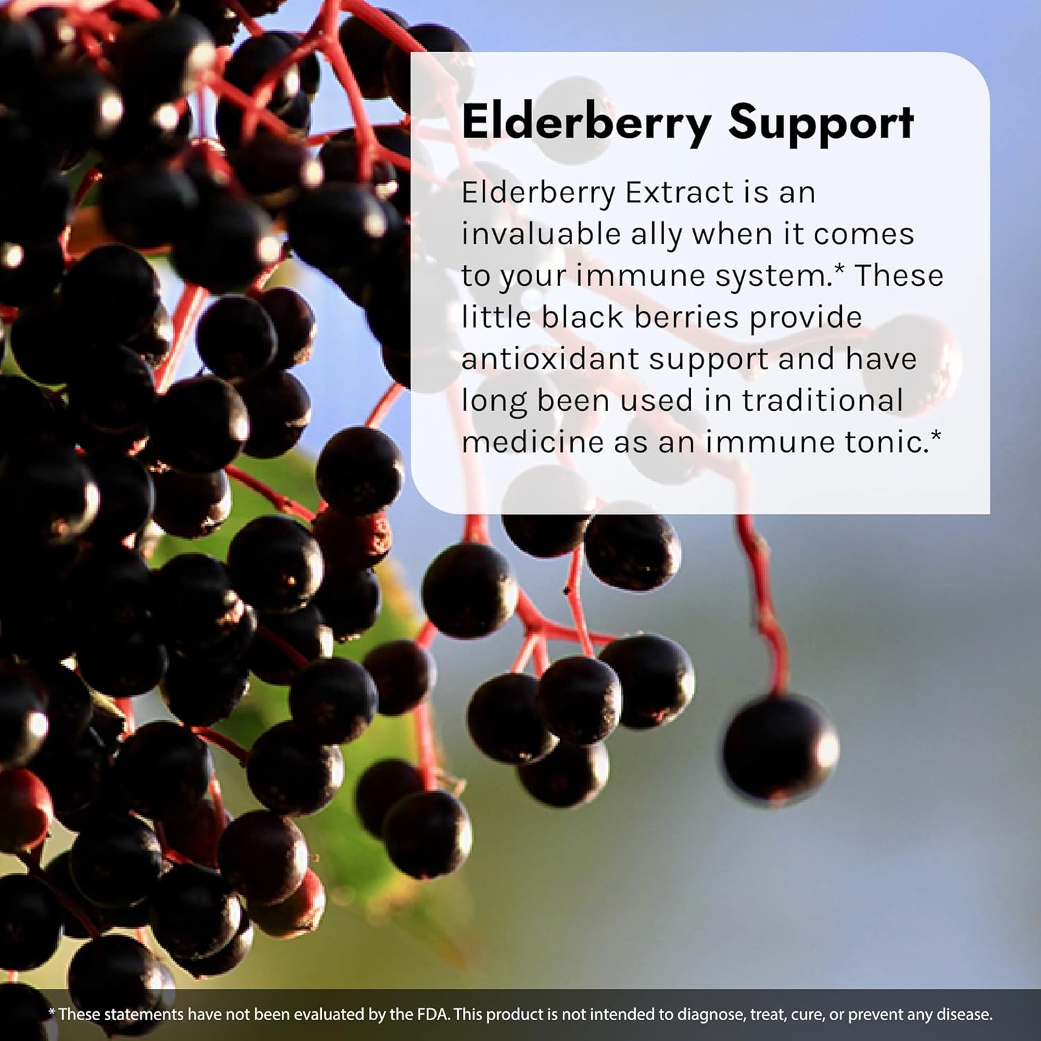 Irwin Naturals Immuno Shield with Elderberry 60 Sgels : Health & Household