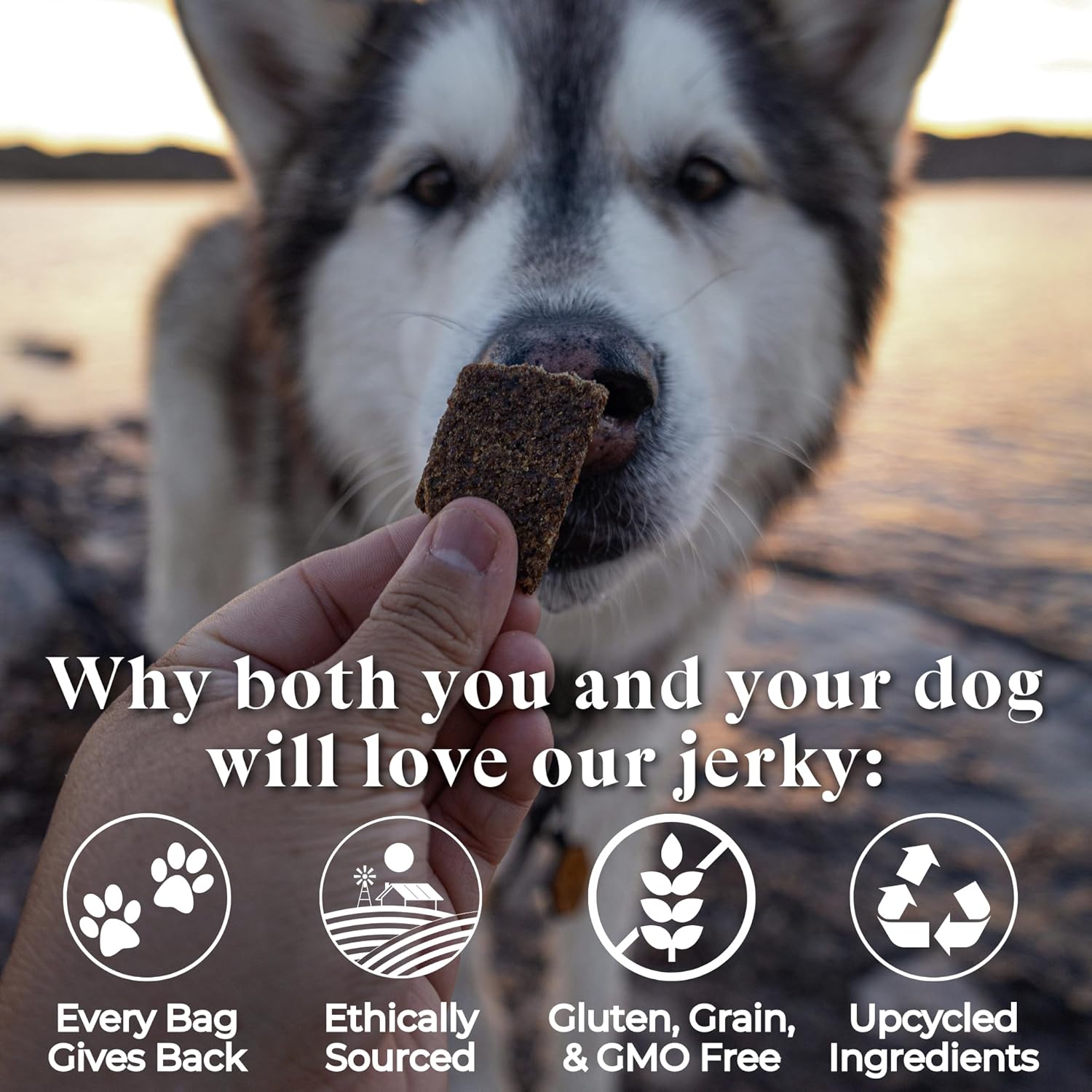 OTIS Alaskan Salmon Jerky for Dogs | Salmon Jerky Recipe - Protein Packed, Ethically-Sourced Sustainable Healthy Dog Treats - with DHA and EPA Healthy Dog Jerky Treat | 4 oz : Pet Supplies