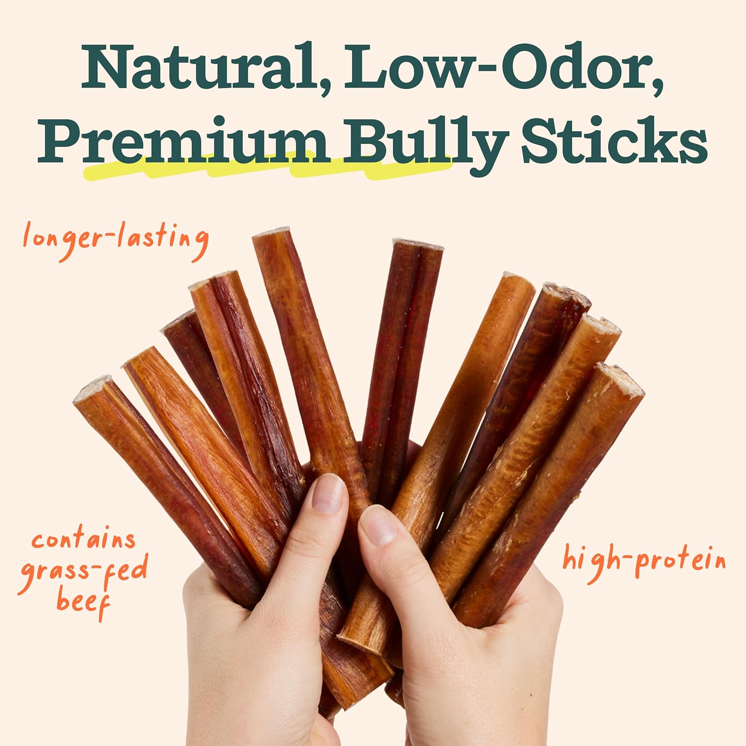 WOOF BullySafe and Bully Sticks - Nutritious Chew Sticks for Dogs and Bully Stick Holder for Safe, Long-Lasting Play - No More Swallowed Ends - 12" Sticks - 10 Pack : Pet Supplies