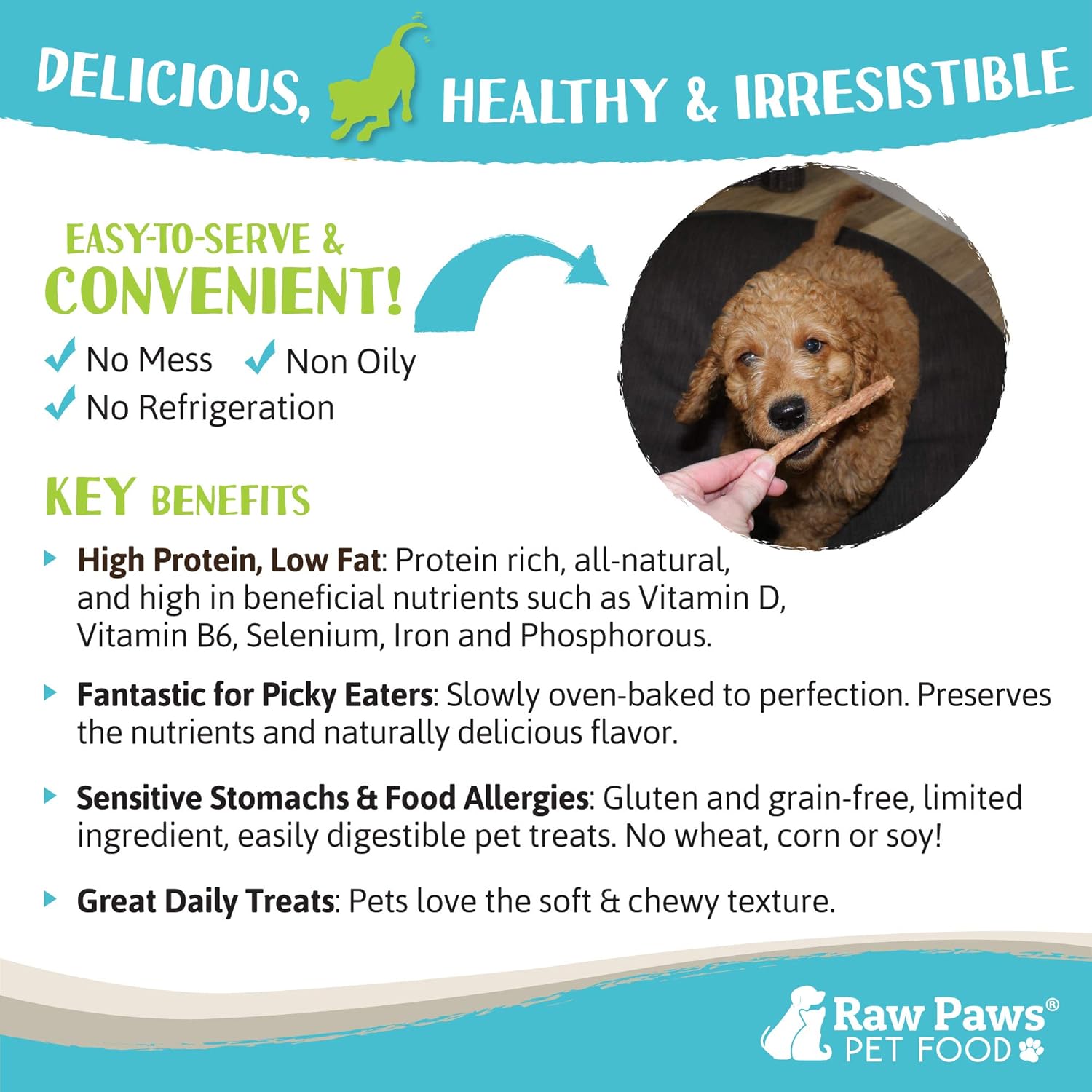 Raw Paws Grain-Free Soft Stick Treats for Dogs & Cats - Beef Recipe, 6-oz - Made in USA Beef Jerky Dog Treats - Cat Beef Sticks - Chewy Dog Beef Jerky Treats - Real Beef Dog Treats, Dog Sausage Treats : Pet Supplies