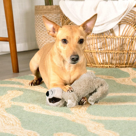 Pet Factory Shake & Squeak Sloth Plush Dog Toy, Randomly Selected Color - Gray Or Brown, One Size