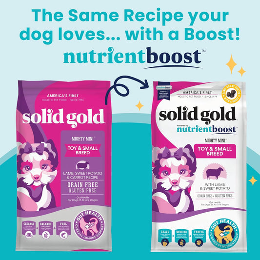 Solid Gold Nutrientboost Mighty Mini Small Breed Dog Food - Dry Dog Food Made with Real Lamb for Any Toy Breed - Grain & Gluten Free Recipe for Gut Health & Sensitive Stomach Support - 11 LB Bag
