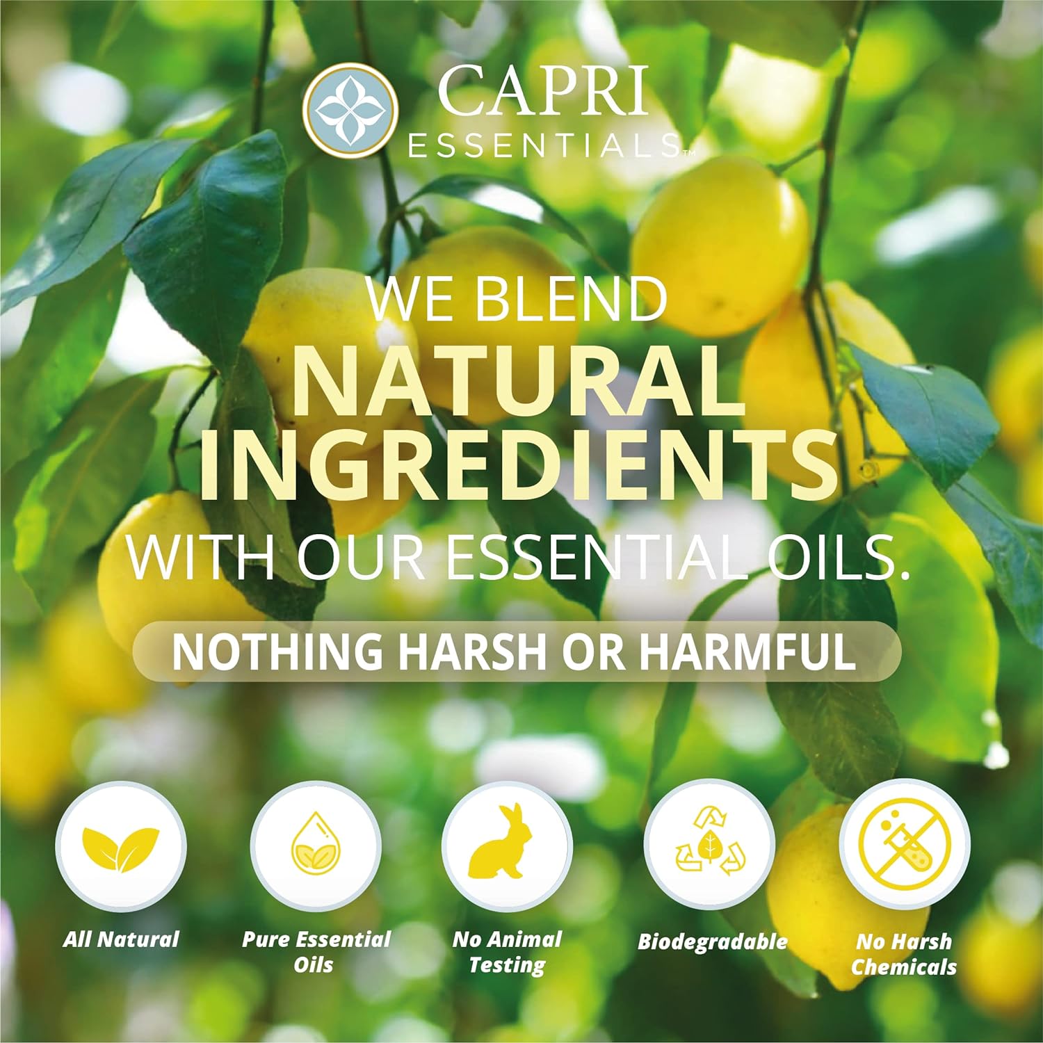 CAPRI ESSENTIALS Lemon Verbena Natural Dish Soap Liquid w/Essential Oils – Plant-Based Dish Cleaning Supplies – Chemical-Free Dish Liquid Soap – Natural Cleaning Products (16 oz) : Health & Household