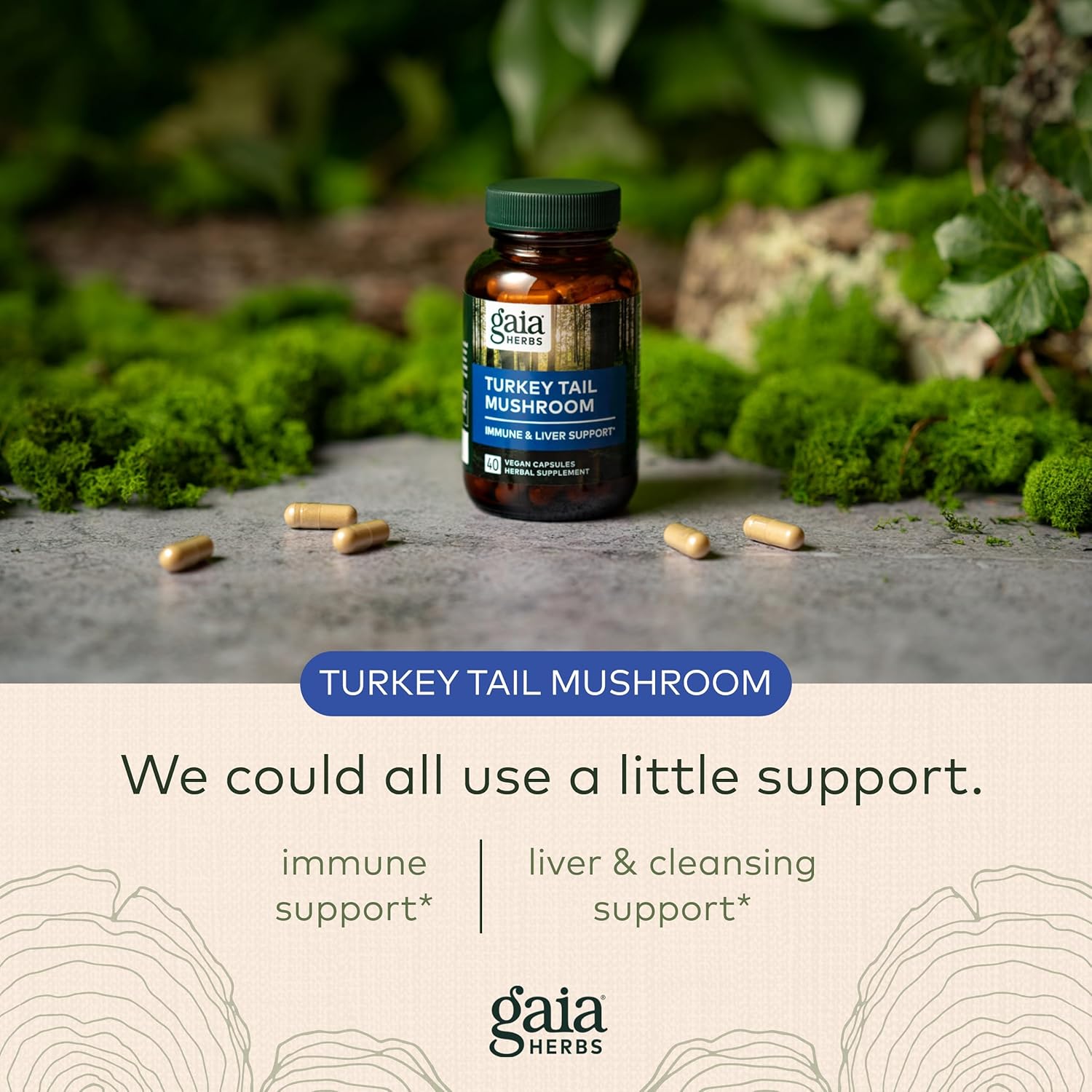 Gaia Herbs Turkey Tail Mushroom - Immune Support Supplement to Help Maintain Liver Health - with Organic Turkey Tail Mushroom Fruiting Body Extract - 40 Vegan Capsules : Health & Household