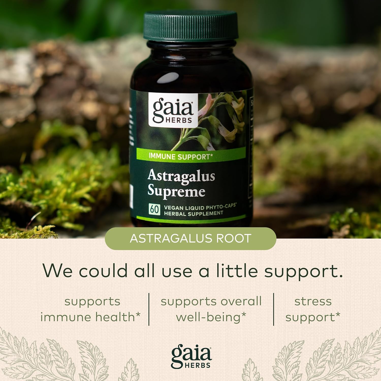 Gaia Herbs Astragalus Supreme - Immune and Antioxidant Support Herbal Supplement - with Astragalus Root, Schisandra Berry, and Ligustrum - 60 Vegan Liquid Phyto-Capsules (15-Day Supply) : Health & Household