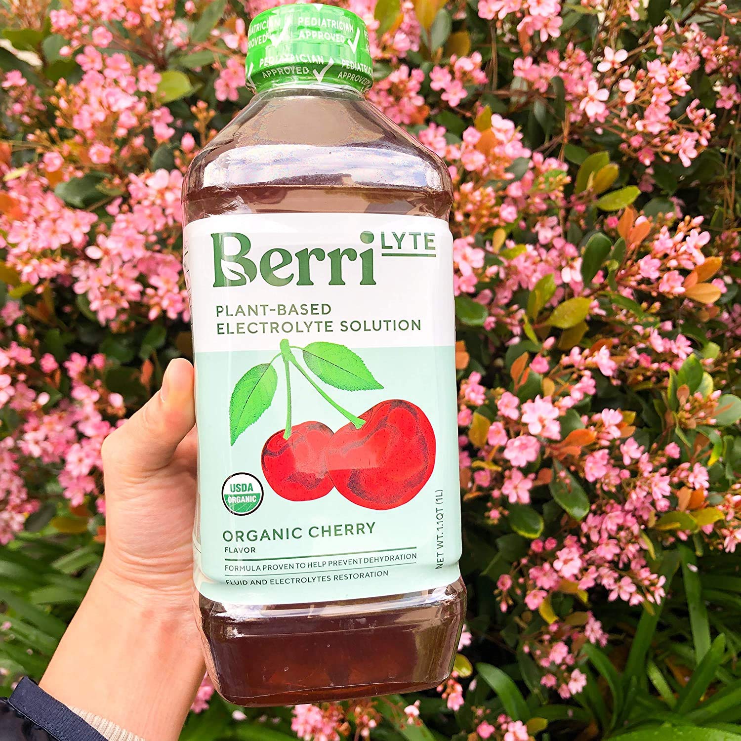 Berri Lyte Plant Based Organic Electrolyte Solution – Pediatric Rehydration Drink – Low Sugar Cherry Flavor, 1 L, 1 Ct