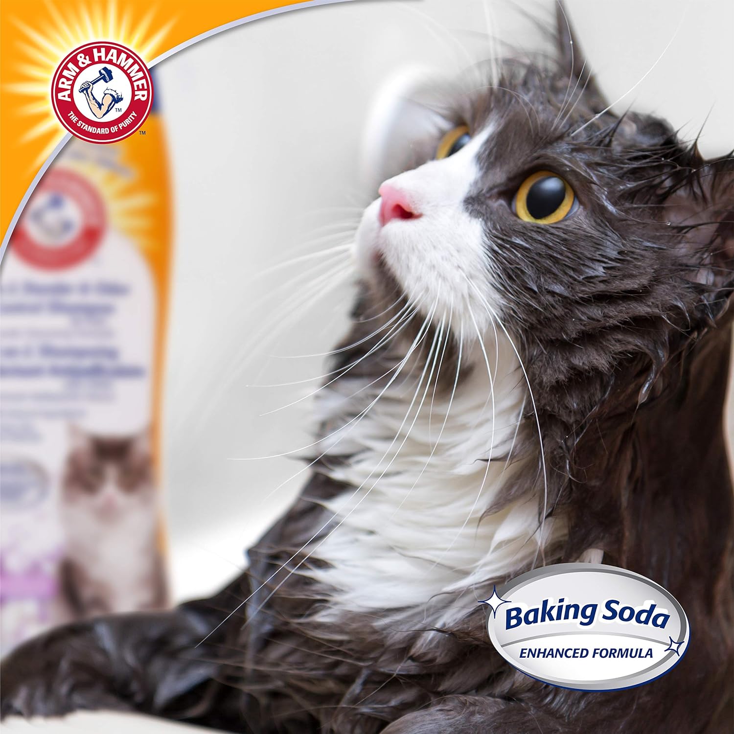 Arm & Hammer 2-in-1 Deodorizing & Dander Reducing Shampoo for Cats, Dander Remover for Dander and Odors, Baking Soda Moisturizes and Deodorizes, Lavender Chamomile Scent, 20 Fl Oz : Pet Supplies