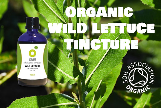 Organic Herbal Remedies 100Ml Wild Lettuce