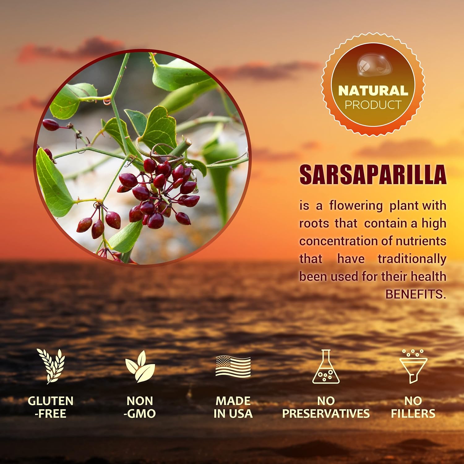 FabLab Sarsaparilla Root Tincture - Herbal Supplement for Detox and Immune Support - 4 Fl Oz - Alcohol-Free - Non-GMO - Supports Healthy Skin, Hormone Balance, and Digestion : Health & Household