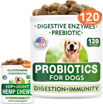 Probiotics + Hemp + Glucosamine Bundle - Upset Stomach Relief + Joint Pain Relief - Digestive Enzymes, Prebiotics + Hemp Oil, Chondroitin W/Msm, Omega 3 - Improve Digestion, Immunity - 120 + 120 Chews