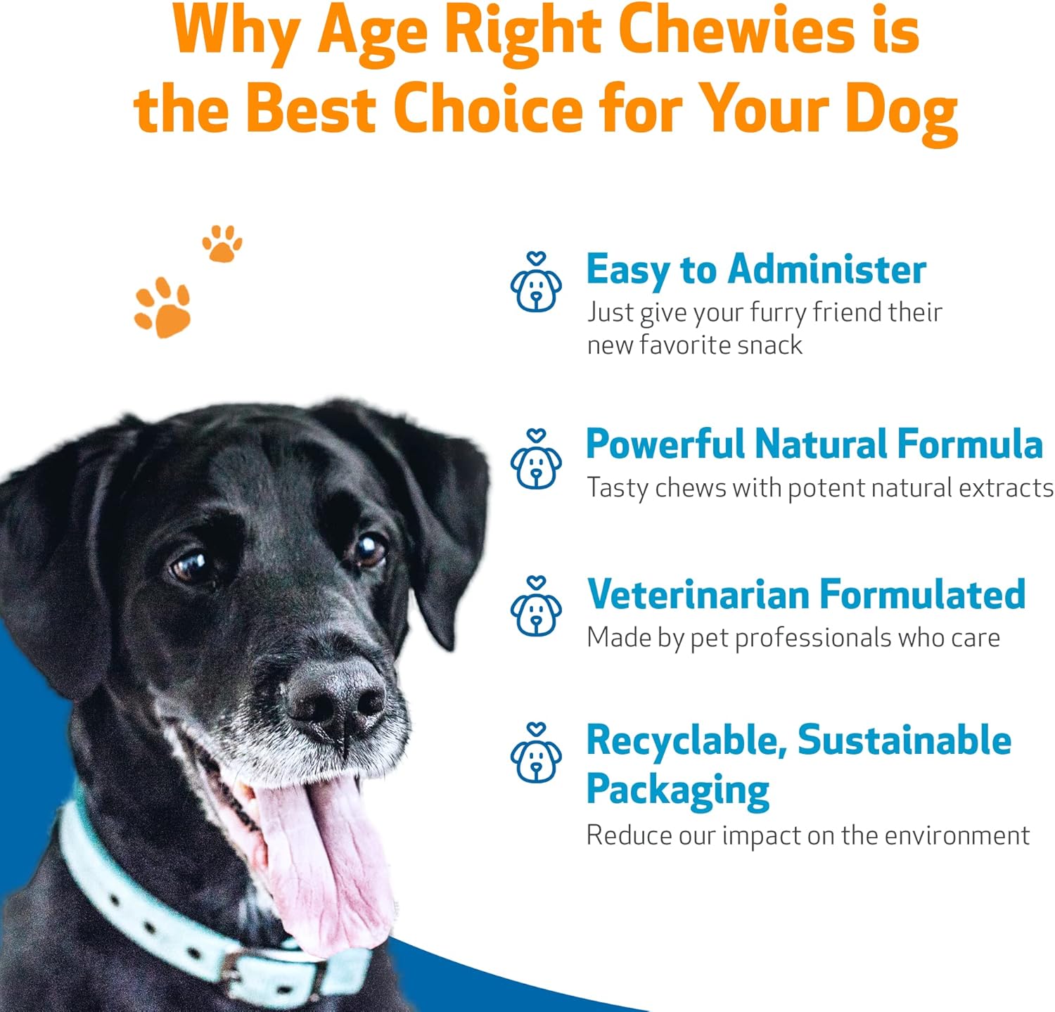 Pet Wellbeing Age Right Chewies for Dogs in Their Prime & Senior Years - Vet-Formulated - Daily Multifunctional Support for Joint Mobility, Immune, Heart Health, Shiny Coat, Energy - 90 Soft Chews : Pet Supplies