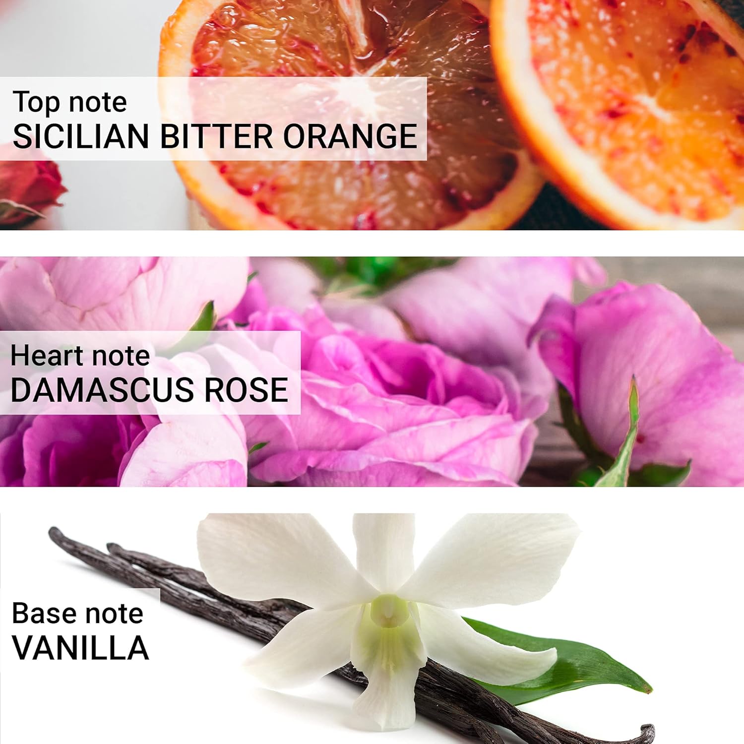 Carrera Jeans Donna 770 Original Eau De Parfum For Women, 4.22 Fl Oz : Beauty & Personal Care