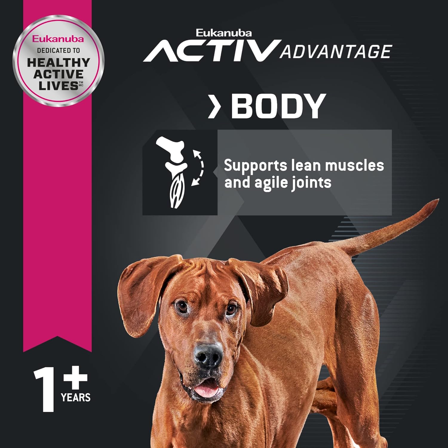 Eukanuba Adult Large Breed Dog Food Dry, Lamb 1st Ingredient, Dog Food Dry Formula for Large Dogs with Protein, DHA and Vitamins to Support an Active Lifestyle, 30 lb Bag : Pet Supplies