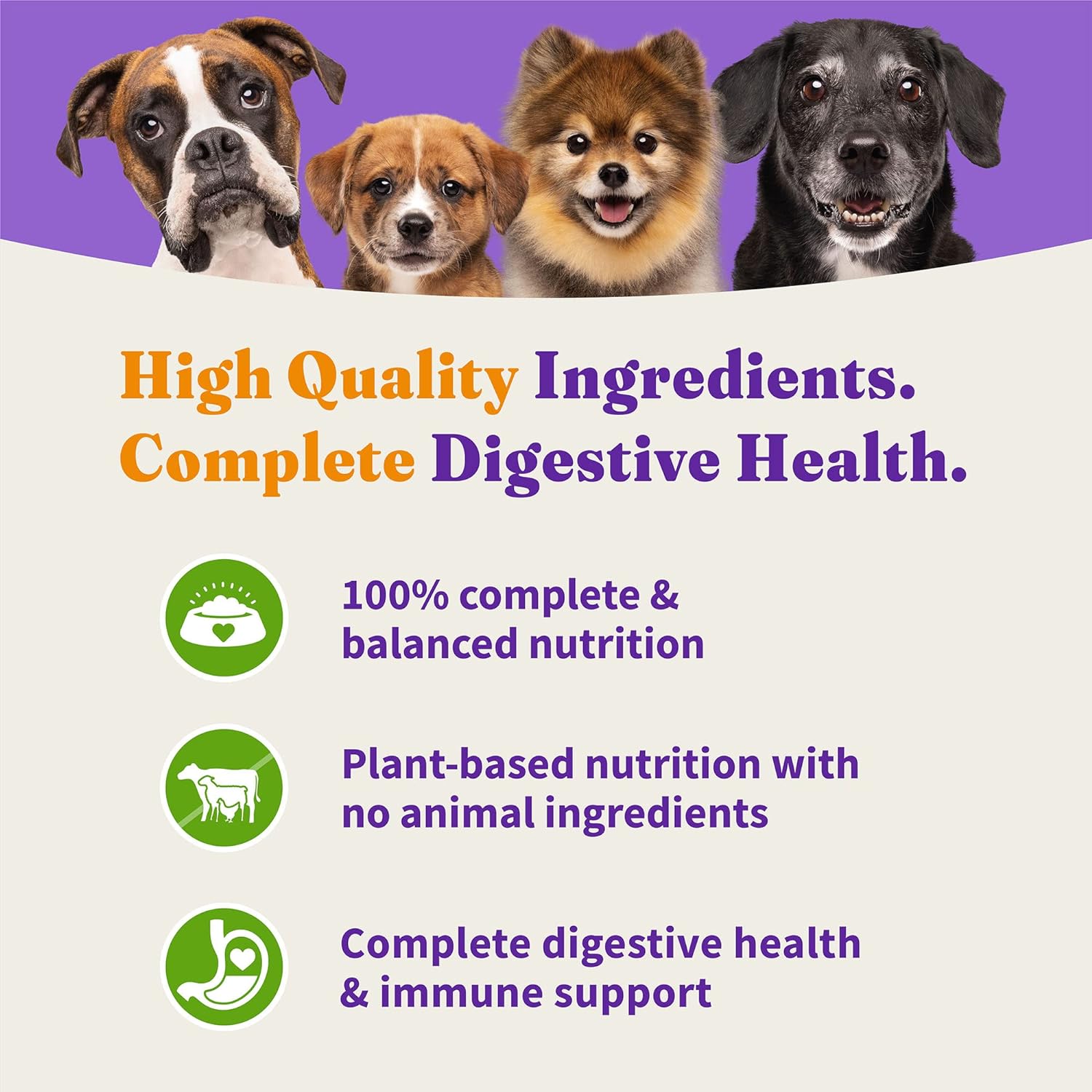 Halo Holistic Plant-Based Recipe With Superfoods, Complete Digestive Health, Vegan Dry Dog Food Bag, Adult Formula, 21-lb Bag : Pet Supplies