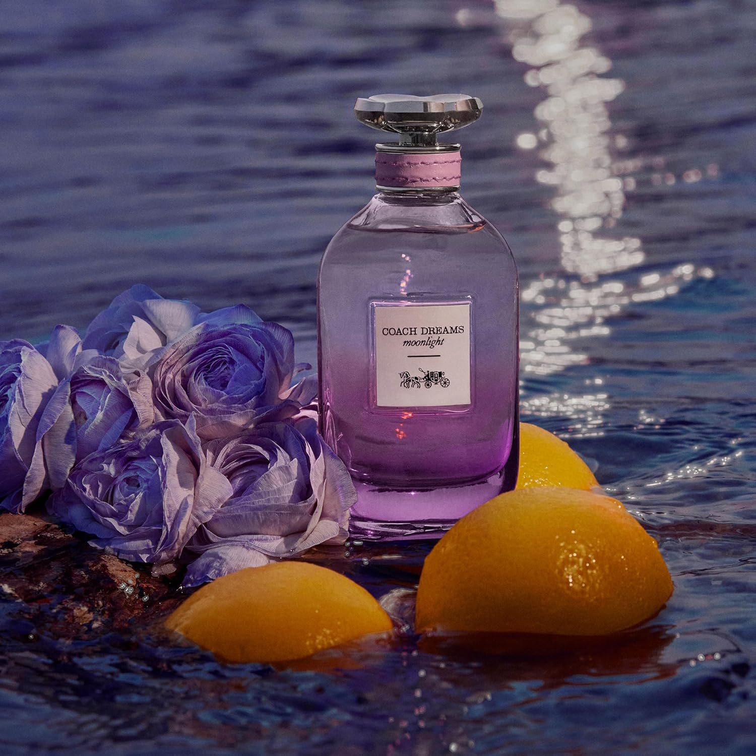 Coach Dreams Moonlight Eau De Parfum - Long Lasting Fragrance With Notes Of Bergamot, Floral Bouquet & Sweet Tonka Beans - Floral & Amber - 1.3 Fl. Oz